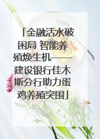 金融活水破困局 智能养殖焕生机——建设银行佳木斯分行助力蛋鸡养殖突围