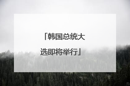 韩国总统大选即将举行
