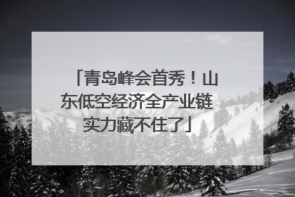 青岛峰会首秀！山东低空经济全产业链实力藏不住了