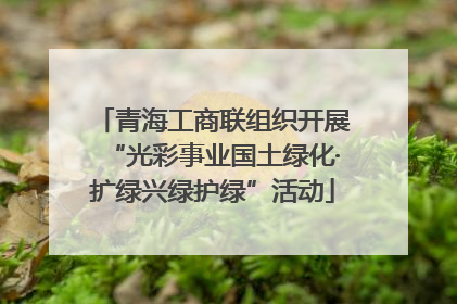 青海工商联组织开展“光彩事业国土绿化·扩绿兴绿护绿”活动