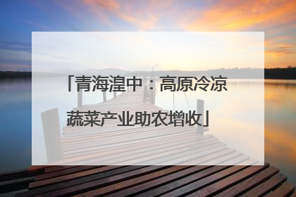 青海湟中：高原冷凉蔬菜产业助农增收