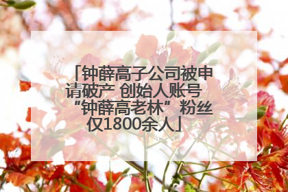 钟薛高子公司被申请破产 创始人账号“钟薛高老林”粉丝仅1800余人