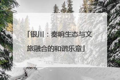 银川：奏响生态与文旅融合的和谐乐章