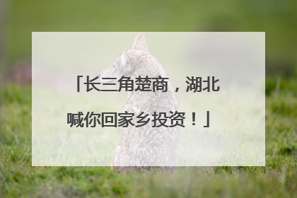 长三角楚商，湖北喊你回家乡投资！