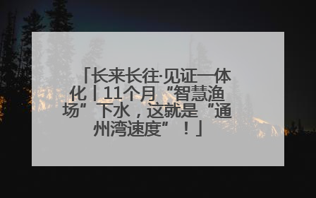 长来长往·见证一体化丨11个月“智慧渔场”下水，这就是“通州湾速度”！