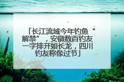 长江流域今年钓鱼“解禁”，安徽数百钓友一字排开如长龙，四川钓友称像过节