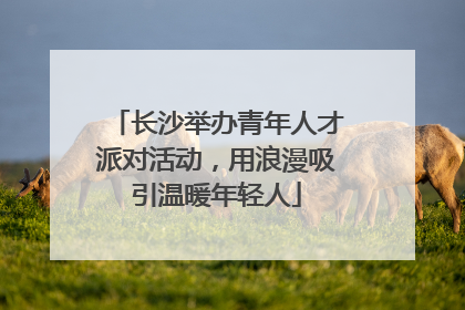 长沙举办青年人才派对活动，用浪漫吸引温暖年轻人