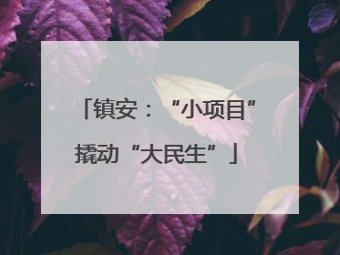 镇安：“小项目”撬动“大民生”