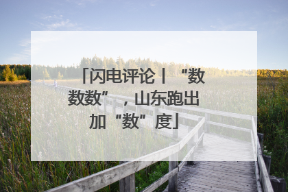 闪电评论丨“数数数”,山东跑出加“数”度