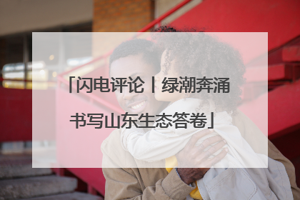 闪电评论丨绿潮奔涌 书写山东生态答卷