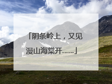 阴条岭上，又见漫山海棠开……
