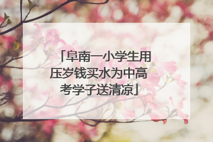阜南一小学生用压岁钱买水为中高考学子送清凉