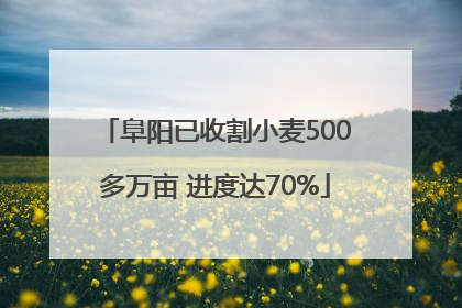 阜阳已收割小麦500多万亩 进度达70%