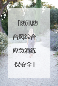 防汛防台风综合应急演练保安全