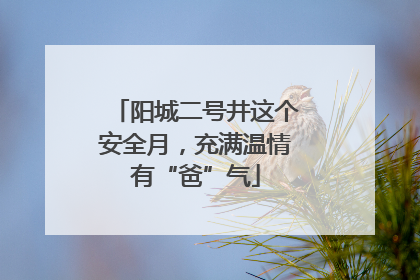 阳城二号井这个安全月，充满温情有“爸”气