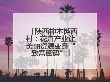 陕西神木铧西村：花卉产业让美丽资源变身“致富密码”