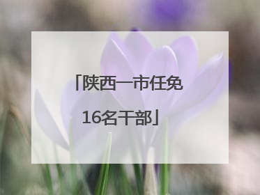 陕西一市任免16名干部