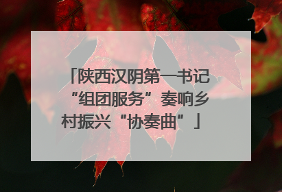 陕西汉阴第一书记“组团服务”奏响乡村振兴“协奏曲”