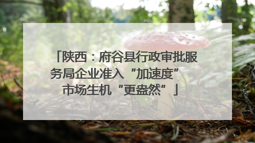 陕西：府谷县行政审批服务局企业准入“加速度” 市场生机“更盎然”