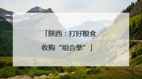 陕西：打好粮食收购“组合拳”