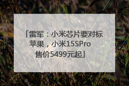 雷军：小米芯片要对标苹果，小米15SPro售价5499元起