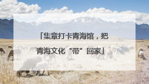 集章打卡青海馆，把青海文化“带”回家