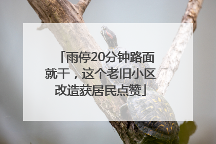 雨停20分钟路面就干，这个老旧小区改造获居民点赞