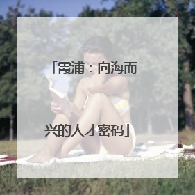 霞浦：向海而兴的人才密码