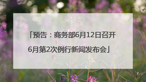 预告：商务部6月12日召开6月第2次例行新闻发布会