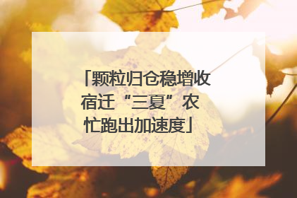 颗粒归仓稳增收 宿迁“三夏”农忙跑出加速度