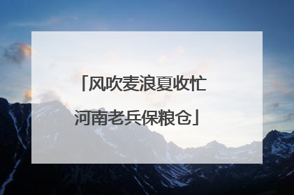 风吹麦浪夏收忙 河南老兵保粮仓