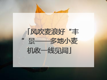 风吹麦浪好“丰”景——多地小麦机收一线见闻