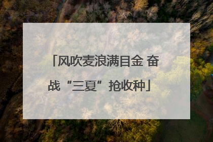 风吹麦浪满目金 奋战“三夏”抢收种