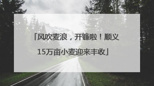 风吹麦浪，开镰啦！顺义15万亩小麦迎来丰收