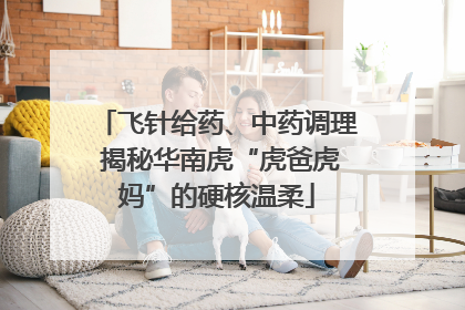 飞针给药、中药调理 揭秘华南虎“虎爸虎妈”的硬核温柔