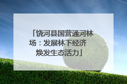 饶河县国营通河林场：发展林下经济 焕发生态活力