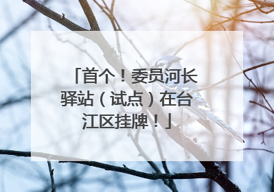 首个！委员河长驿站（试点）在台江区挂牌！