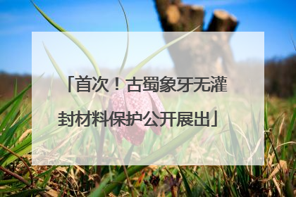 首次！古蜀象牙无灌封材料保护公开展出