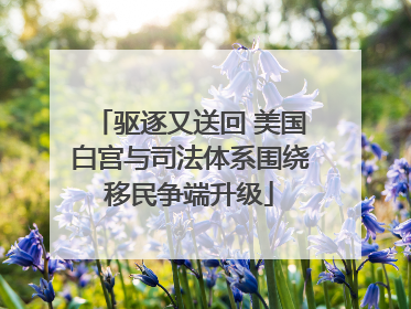 驱逐又送回 美国白宫与司法体系围绕移民争端升级