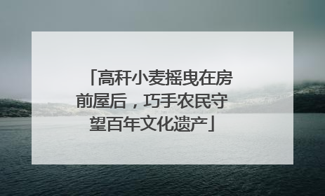 高秆小麦摇曳在房前屋后，巧手农民守望百年文化遗产