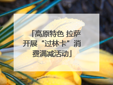高原特色 拉萨开展“过林卡”消费满减活动