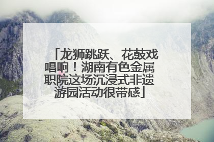 龙狮跳跃、花鼓戏唱响！湖南有色金属职院这场沉浸式非遗游园活动很带感