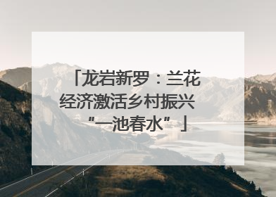 龙岩新罗：兰花经济激活乡村振兴“一池春水”