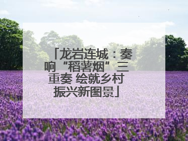 龙岩连城：奏响“稻薯烟”三重奏 绘就乡村振兴新图景