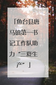 鱼台县唐马镇第一书记工作队助力“三夏生产”
