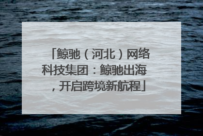 鲸驰（河北）网络科技集团：鲸驰出海，开启跨境新航程