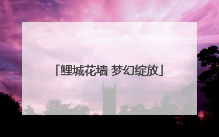 鲤城花墙 梦幻绽放