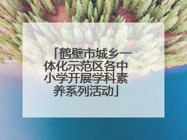 鹤壁市城乡一体化示范区各中小学开展学科素养系列活动
