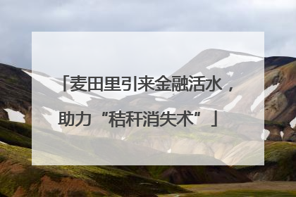 麦田里引来金融活水，助力“秸秆消失术”