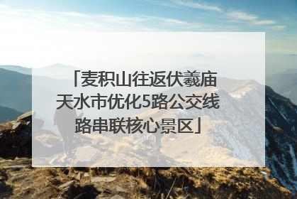 麦积山往返伏羲庙 天水市优化5路公交线路串联核心景区